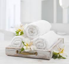 Hotel Institutional Towels