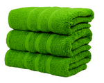 Pack of 3 Hand Towel 100% Egyptian Cotton Super Soft 3X Fingertip Towels 50x80cm - Towelsbay